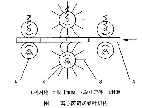 圖1 離心滾筒式剝?nèi)~機(jī)構(gòu)